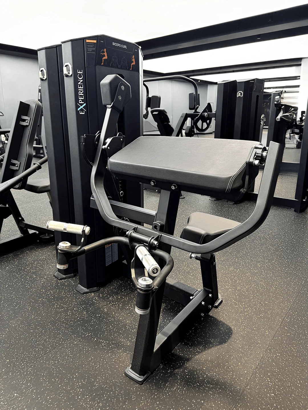 EX-1020 Biceps Curl ile Kontrollü Kol Antrenmanı