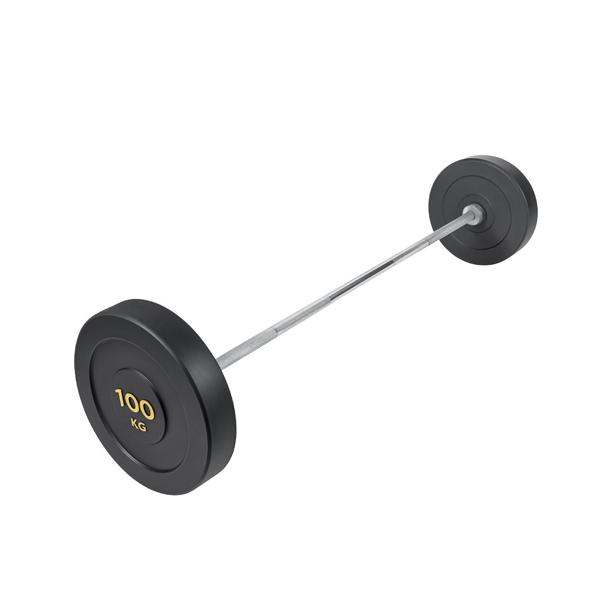 100 KG DÜZ HALTER SETİ